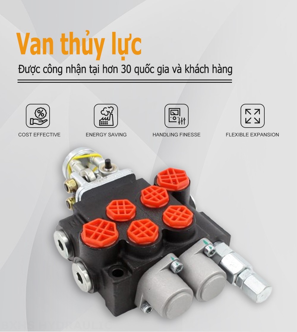 P40-2OT Thủ công và tay điều khiển Xy lanh 2 Van định hướng khối liền